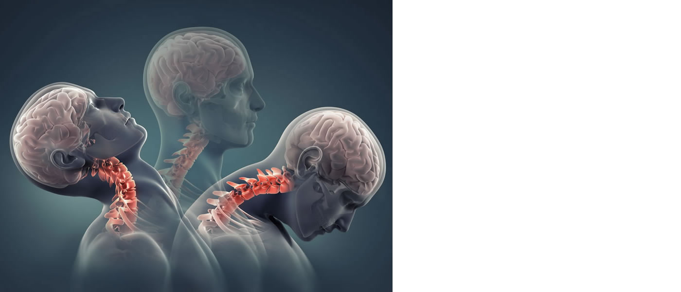 1Fotolia_88283357_M_1400_600_r