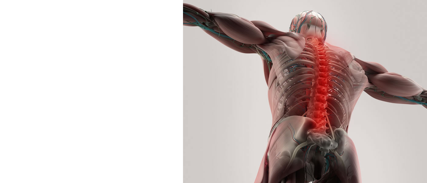 Fotolia_109896721_M_1400_600_l