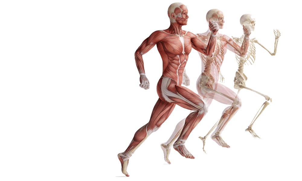 Fotolia_42890795_S_Tansparent_1000_600 l